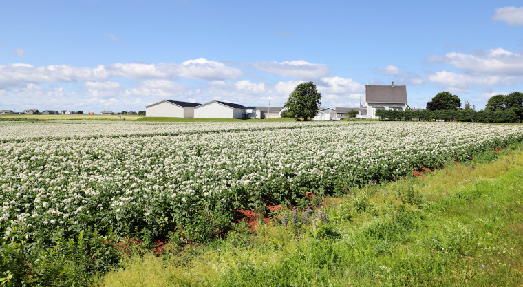 A farm near Borden-Carleton in PEI